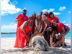 A lively group celebrates a birthday on the beach with a friendly pig, creating unforgettable memories in a picturesque setting.