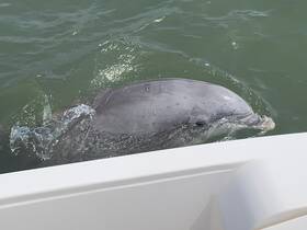 Charter Image