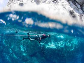 A snorkeler explores vibrant underwater scenery, showcasing the beauty of marine life and the thrill of diving adventures.