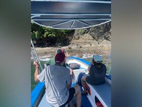 A group of guests on a boat observes wildlife along the rocky shoreline, capturing the moment during their exploration. Perfect for nature enthusiasts and adventure seekers.