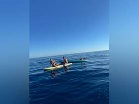 A group enjoys a sunny day kayaking on calm waters, showcasing the perfect outdoor adventure for friends or family.
