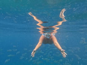 A snorkeler explores vibrant underwater life, surrounded by schools of fish — a perfect snapshot of aquatic adventure.