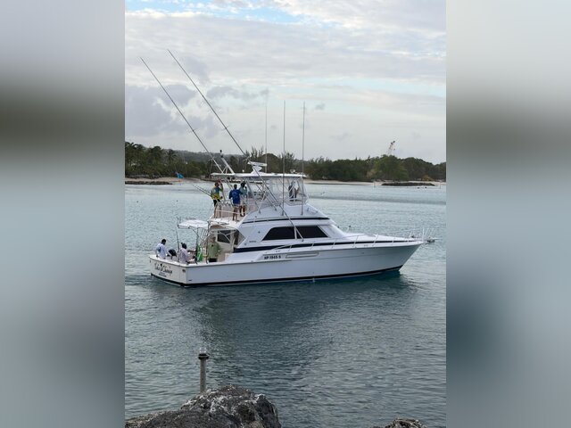 Listing image 1169450
