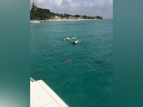 Two snorkelers enjoy the vibrant turquoise waters, making for a perfect day of underwater exploration and relaxation.