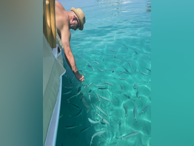 A man interacts with a school of fish in crystal-clear waters, showcasing a unique wildlife experience while enjoying a day on the boat.