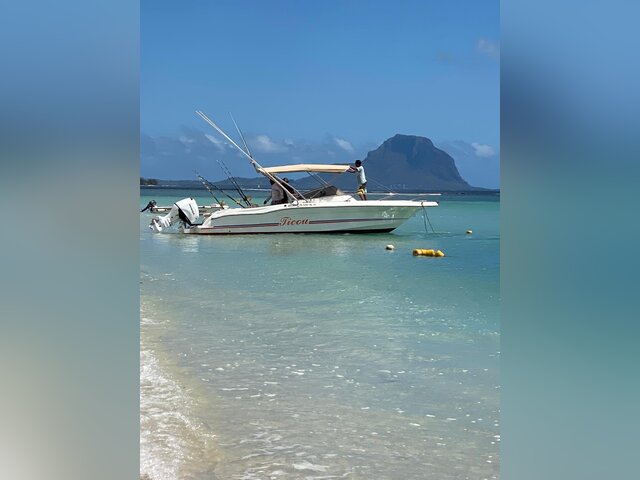Listing image 1169566