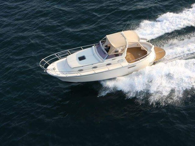 Listing image 1171623
