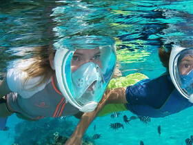 Two snorkelers explore vibrant underwater life, surrounded by colorful fish in crystal-clear waters — an unforgettable snorkeling adventure.