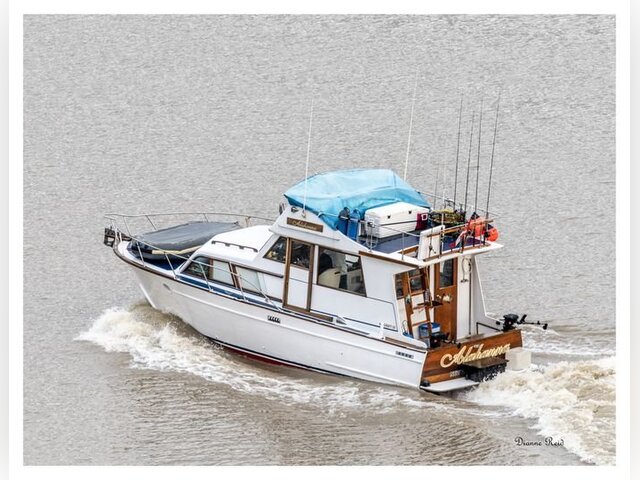 Listing image 1169861