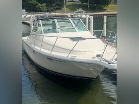 A sleek yacht docked at the marina, showcasing its elegant design and pristine condition — perfect for leisurely outings on the water.
