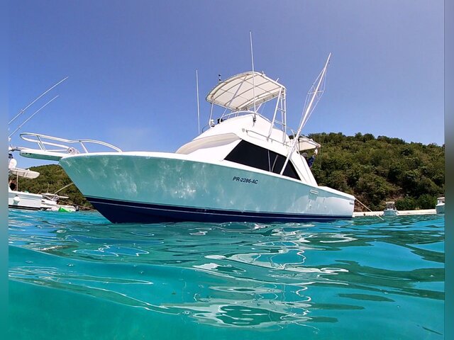 Listing image 1170173