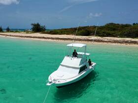 Aerial view of a fishing boat navigating through clear turquoise waters, showcasing the serene beauty of the coastline.