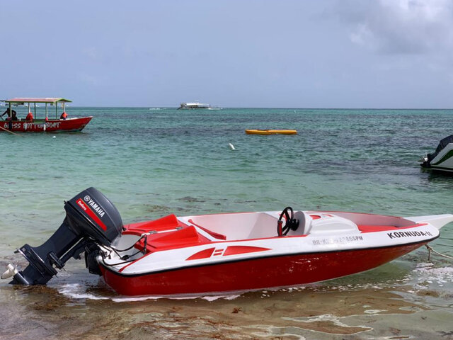 Listing image 1170307