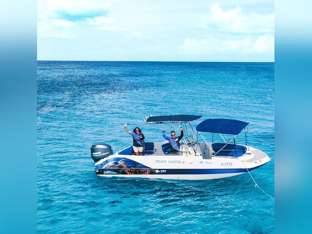 Listing image 1170355