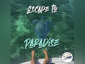 A child enjoys a close encounter with a turtle in crystal-clear waters, showcasing a magical wildlife experience in paradise.