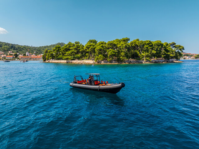 Listing image 1170451