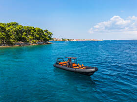A sleek speedboat glides through crystal-clear waters, surrounded by lush greenery and a picturesque shoreline, perfect for exploring coastal destinations.