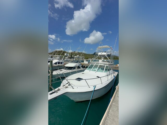 Listing image 1170559