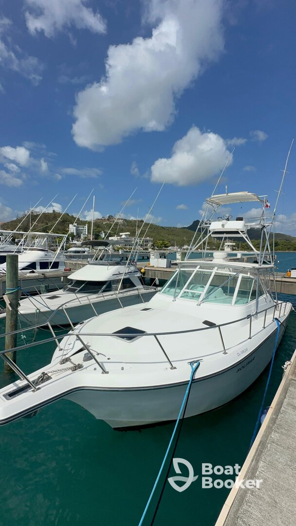 One More Fishing Tour