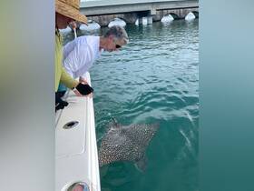 Two individuals interact with a spotted stingray while fishing from a boat, showcasing a unique wildlife experience in the water.