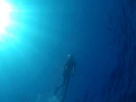 A snorkeler explores the vibrant underwater world, illuminated by sunlight filtering through the ocean's surface — a perfect representation of aquatic adventures.