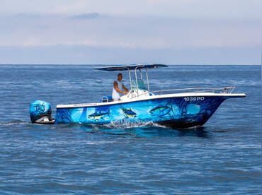 Tuna Tail Boat Trips – Bayliner 2503 Trophy