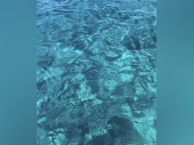 Charter Image