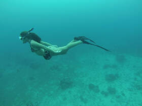 A snorkeler glides gracefully through the clear blue waters, exploring the vibrant underwater world — a perfect moment for diving enthusiasts.