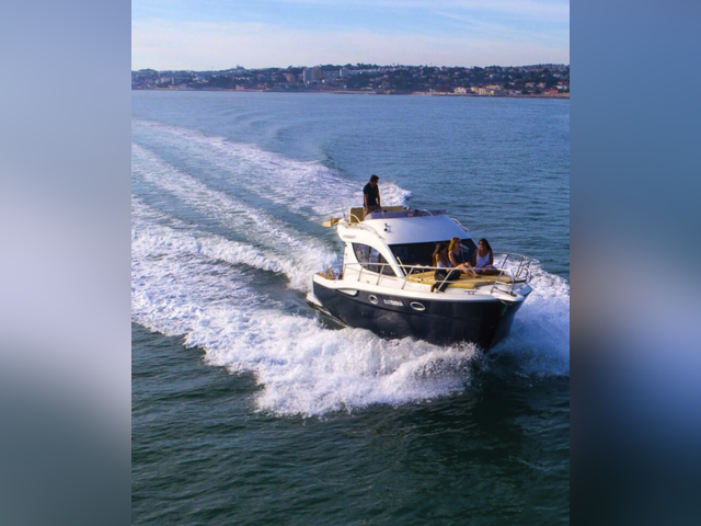 Listing image 1174747