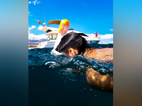 A child snorkels in clear waters with a boat in the background, capturing the essence of a fun-filled day on the water.