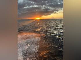 A stunning sunset over the ocean, capturing the serene beauty of nature — perfect for romantic evenings or peaceful boat rides.