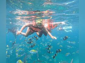 A joyful child snorkels among vibrant fish in crystal-clear waters, showcasing the excitement of underwater adventures.