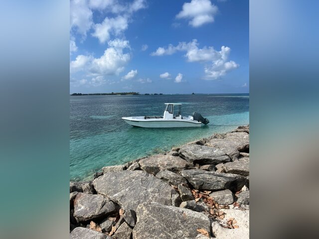 Listing image 1173570