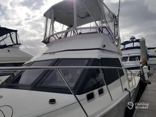 Listing image 1173617