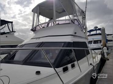 Sick Day Boat Tours – San Diego