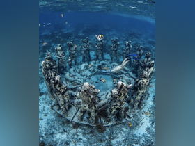 A diver explores an underwater sculpture park surrounded by vibrant fish, showcasing the beauty of marine art and coral ecosystems.