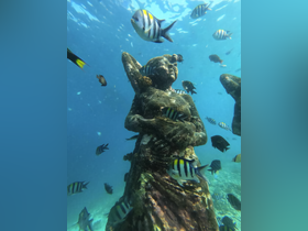 An underwater scene featuring a submerged sculpture surrounded by colorful fish, showcasing the vibrant marine life and art in the ocean.