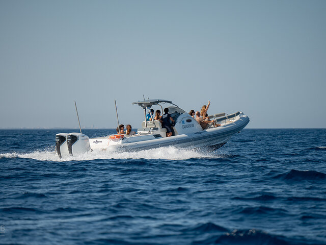 Listing image 1175866