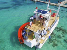 A lively group enjoys a fun day on a boat, with some swimming and others socializing on deck — perfect for a memorable aquatic adventure.