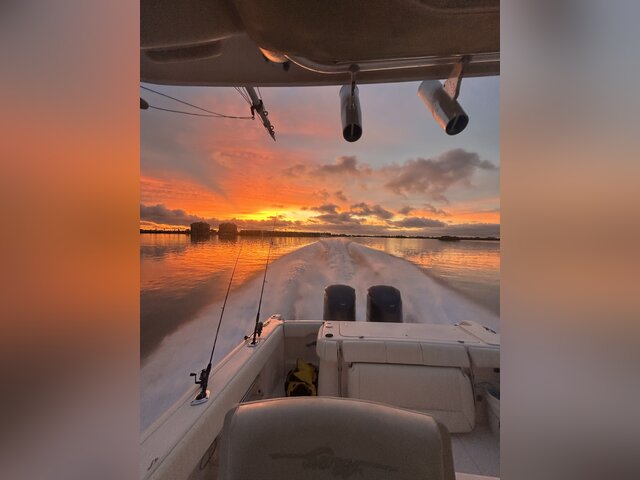 Listing image 1173835