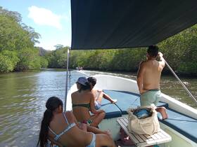 A family enjoys a scenic boat ride through lush mangroves, perfect for exploring nature and creating unforgettable memories on the water.