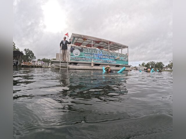 Listing image 1175986