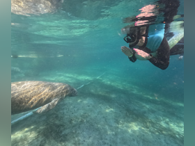 A snorkeler interacts with a majestic sea turtle underwater, showcasing a unique wildlife experience in crystal-clear waters.