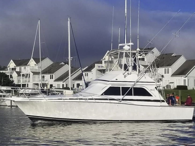 Listing image 1174977
