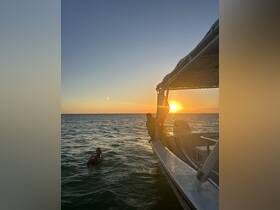 A joyful moment captured at sunset, with one person swimming and another enjoying the boat — perfect for memorable summer outings.