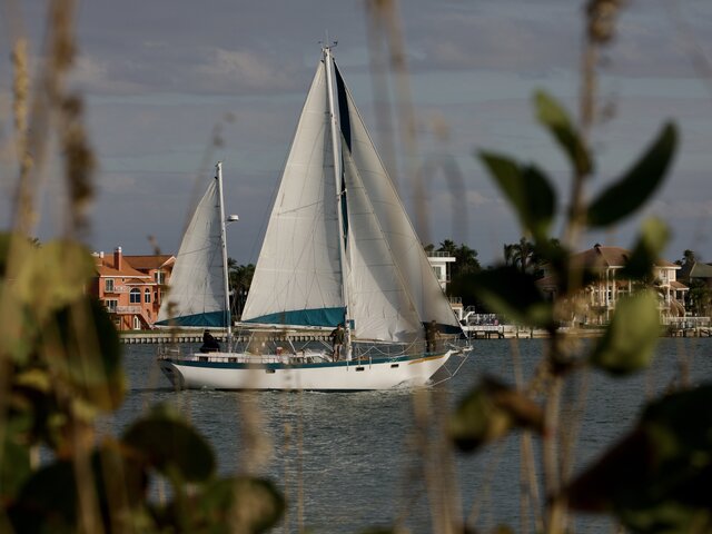 Listing image 1174189