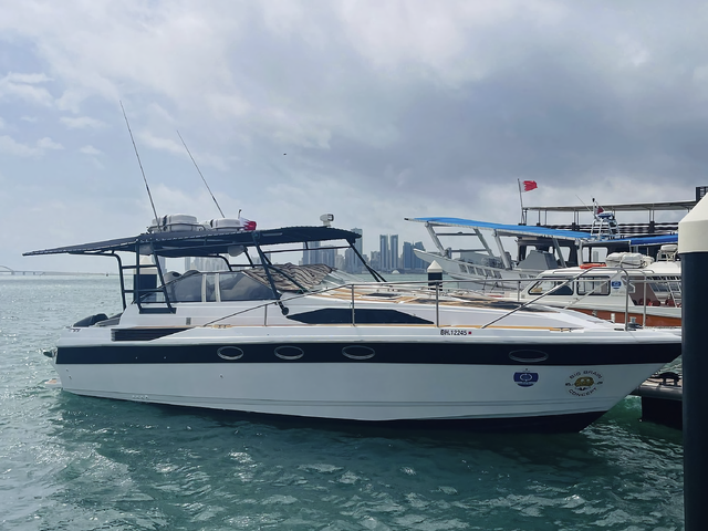 Listing image 1181069