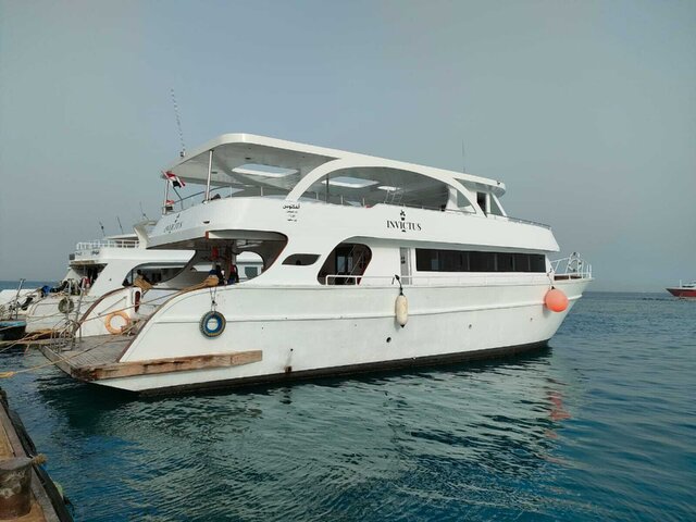 Listing image 1174300