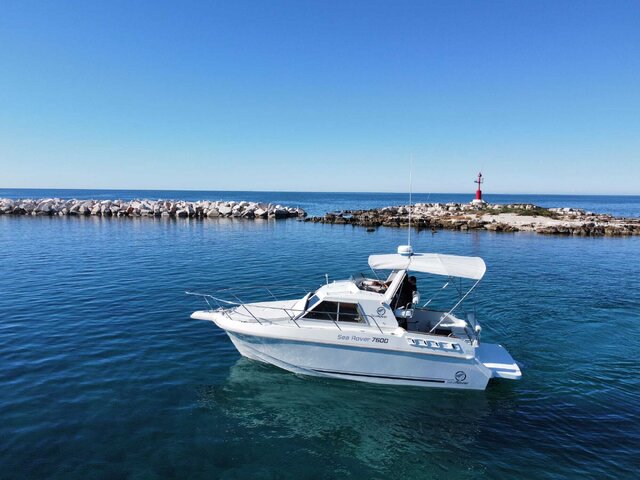 Listing image 1174350
