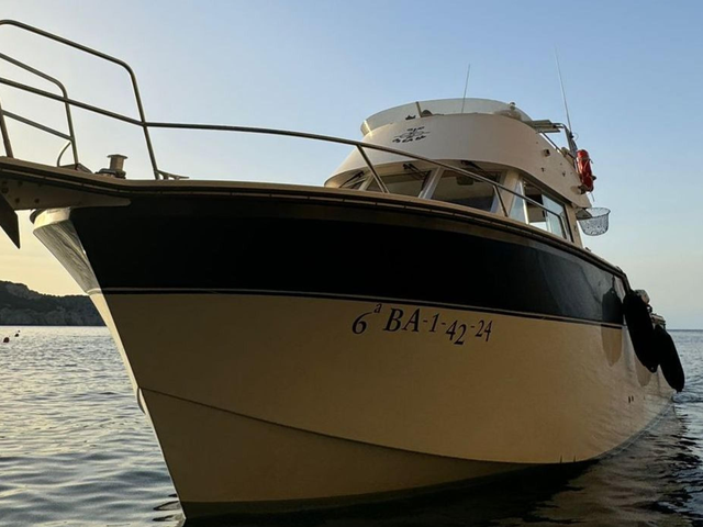 Listing image 1174411